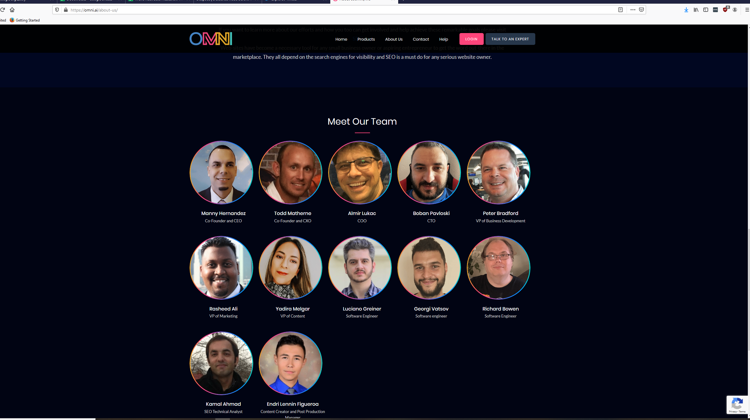 about us page for omni.ai