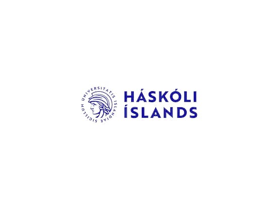 Háskóli Íslands