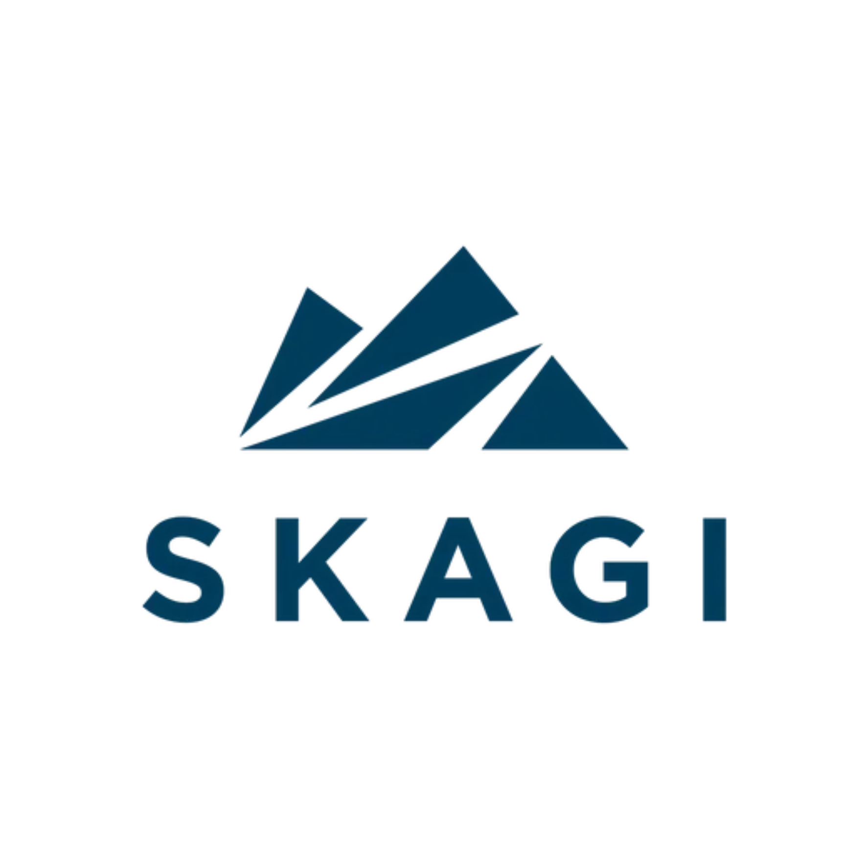 Skagi