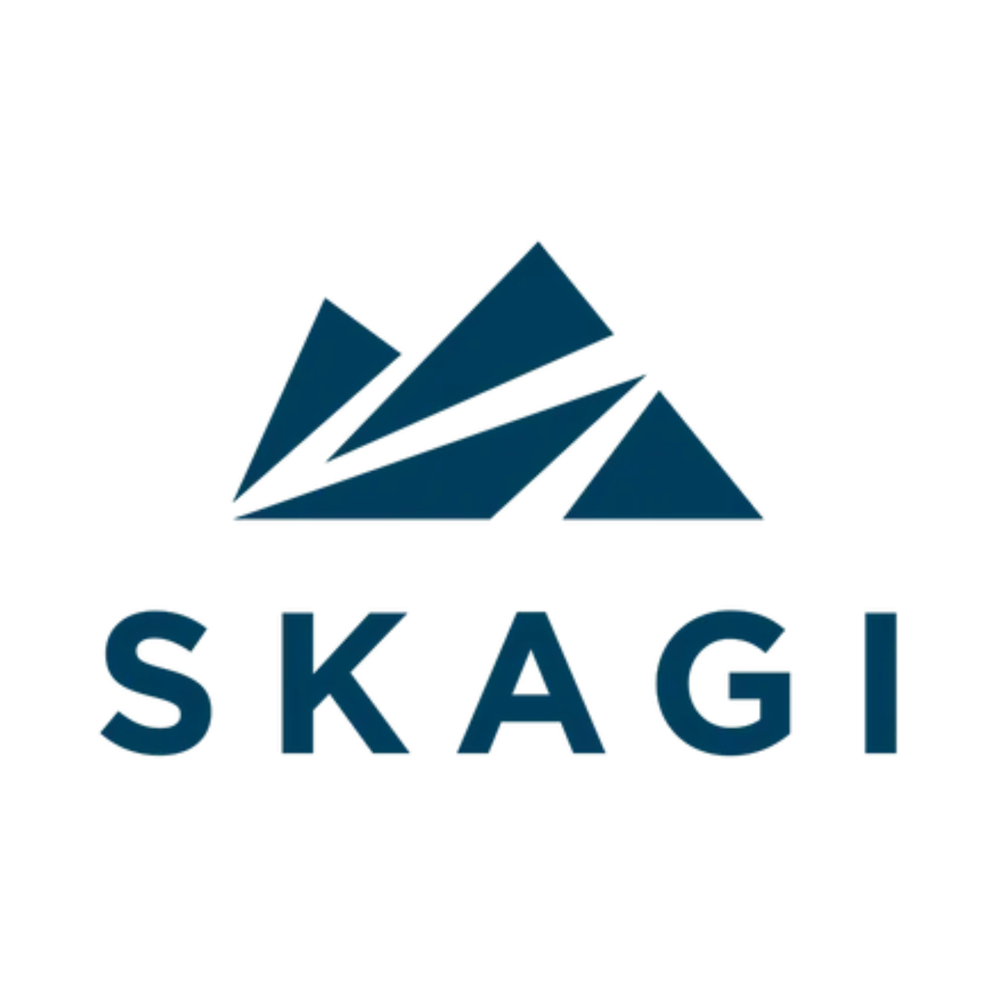 Skagi