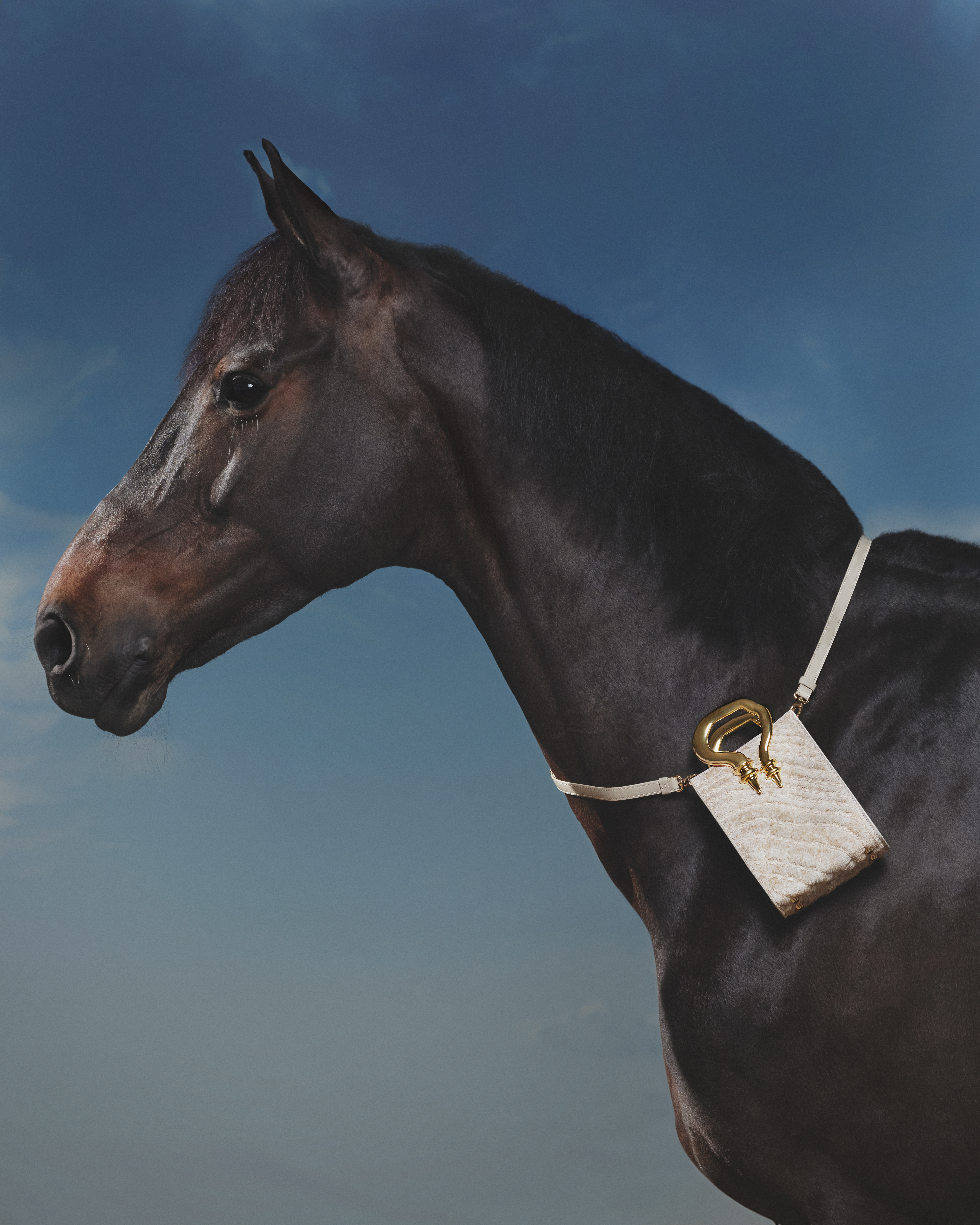 WHISPERS IN THE REINS