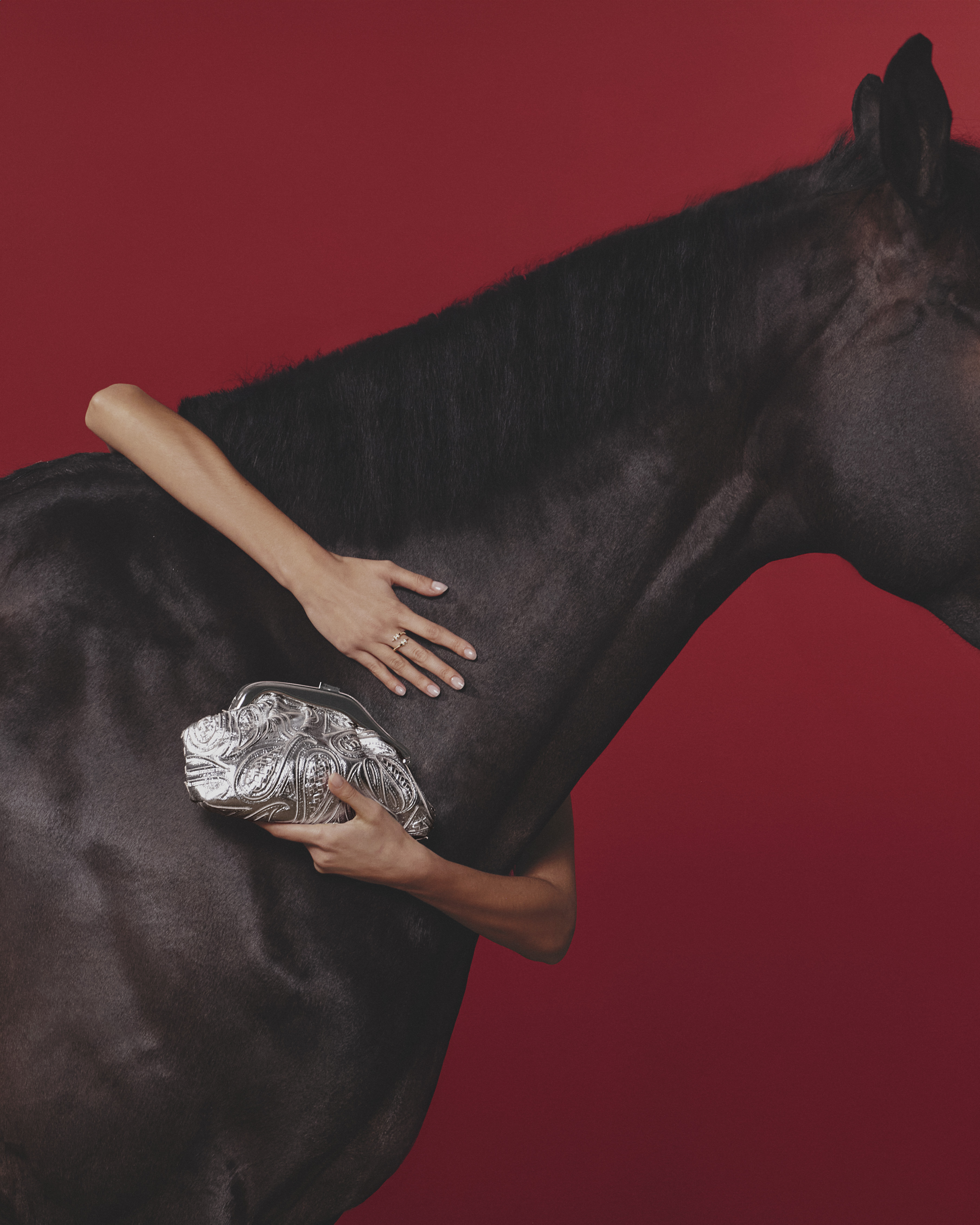 WHISPERS IN THE REINS