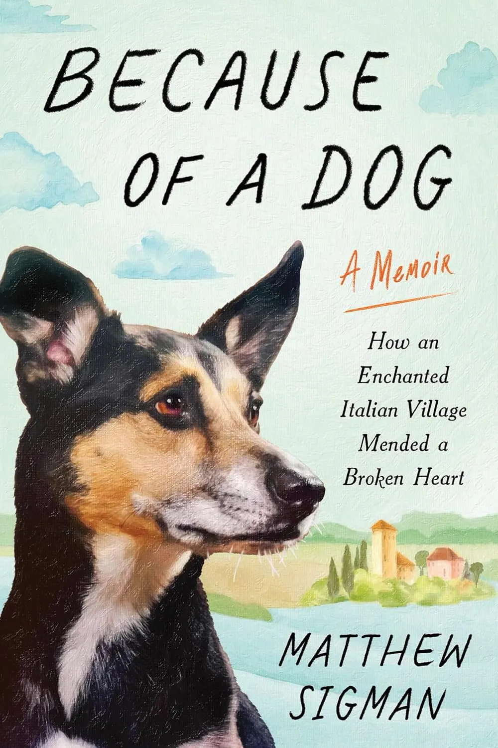 BECAUSE OF A DOG