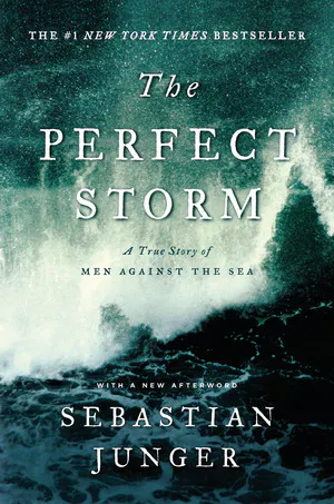 THE PERFECT STORM