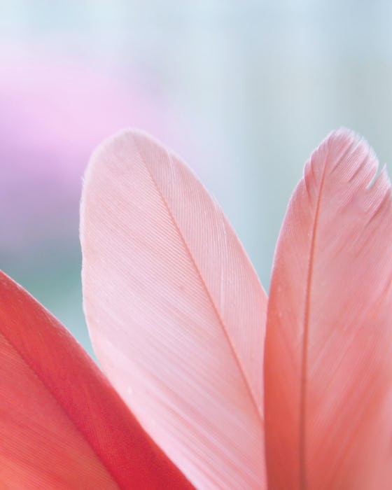 Boodschappers van het Universum