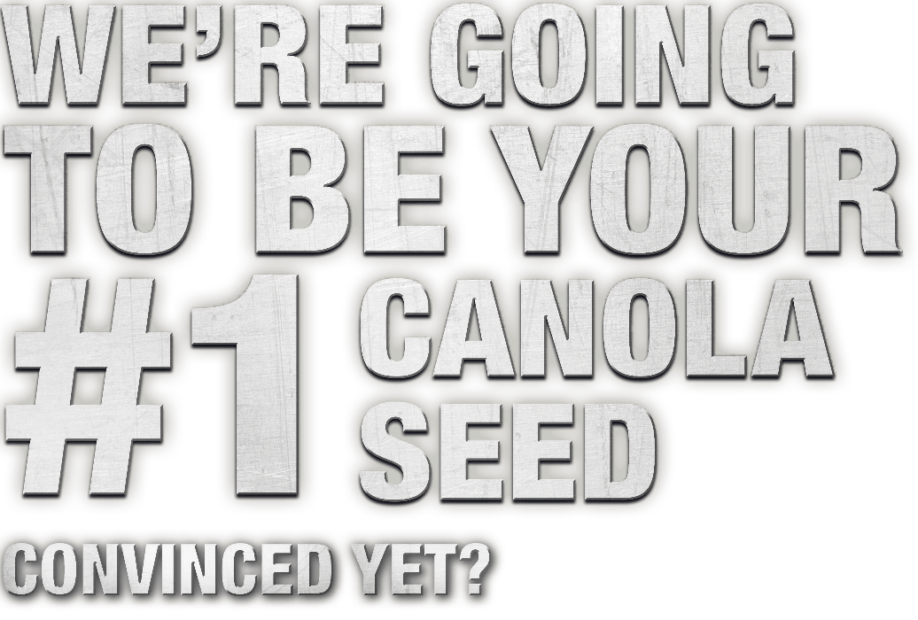 We’re going to be your #1 canola seed. Convinced yet? 