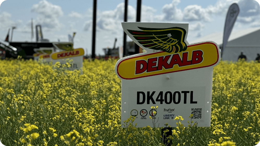 A DEKALB field sign labeled “DK400TL” stands in a blooming yellow canola field under a partly cloudy sky. The sign displays the DEKALB logo with a wing graphic, along with seed trait icons and QR code. Additional DEKALB signs and farm equipment are visible in the background