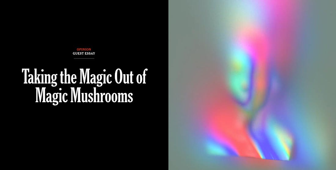 Screenshot of the hero banner taken from New York Times article: "Taking the Magic Out of Magic Mushrooms"