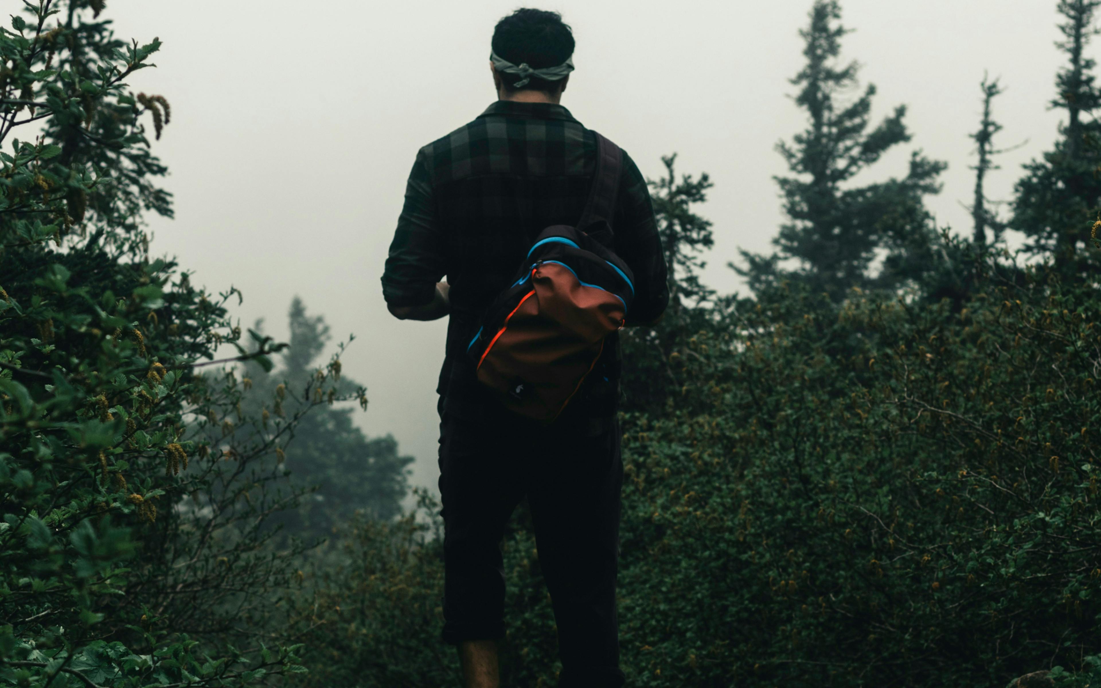 Man standing in a forest with his back to the camera. There are tall trees in the distance.