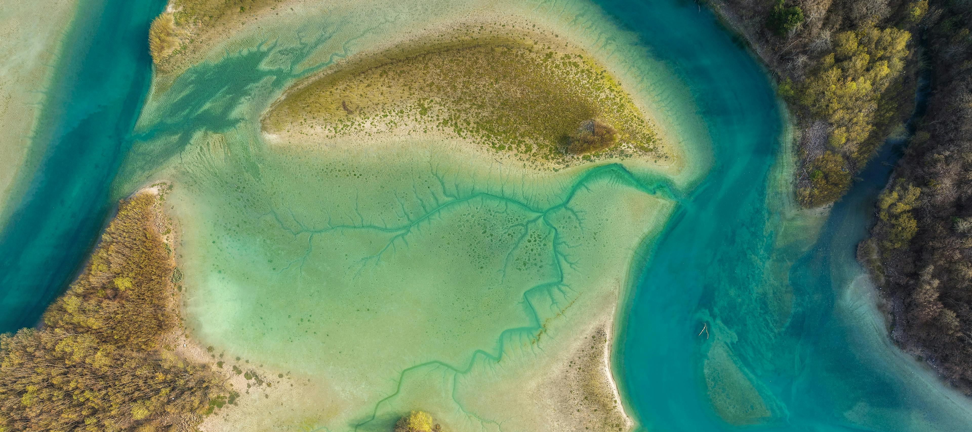 Aerial view of mangroves and water.