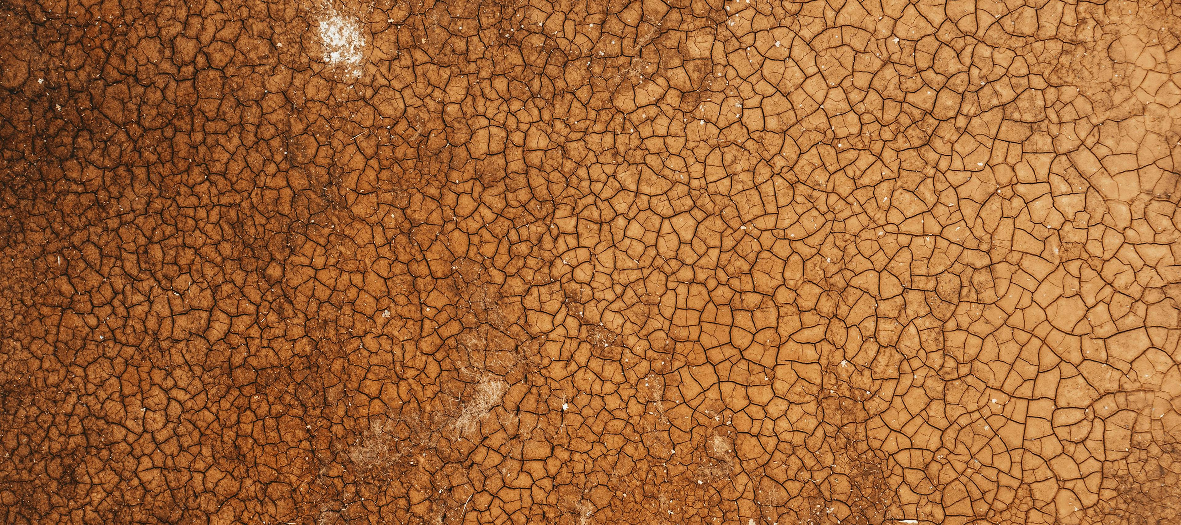 Aerial view of arid landscape.