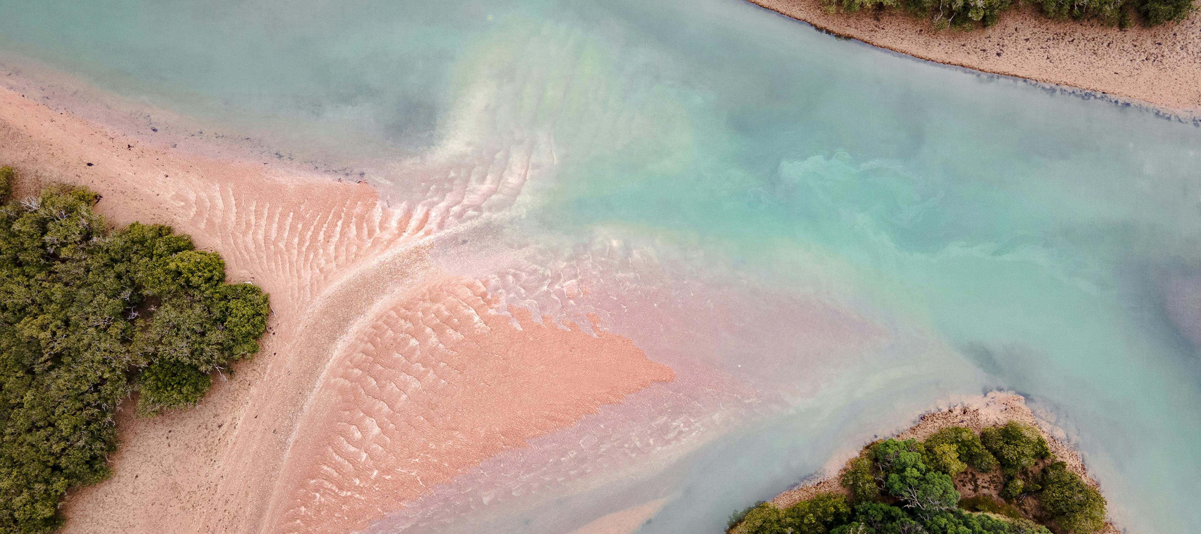 Aerial view of mangroves.