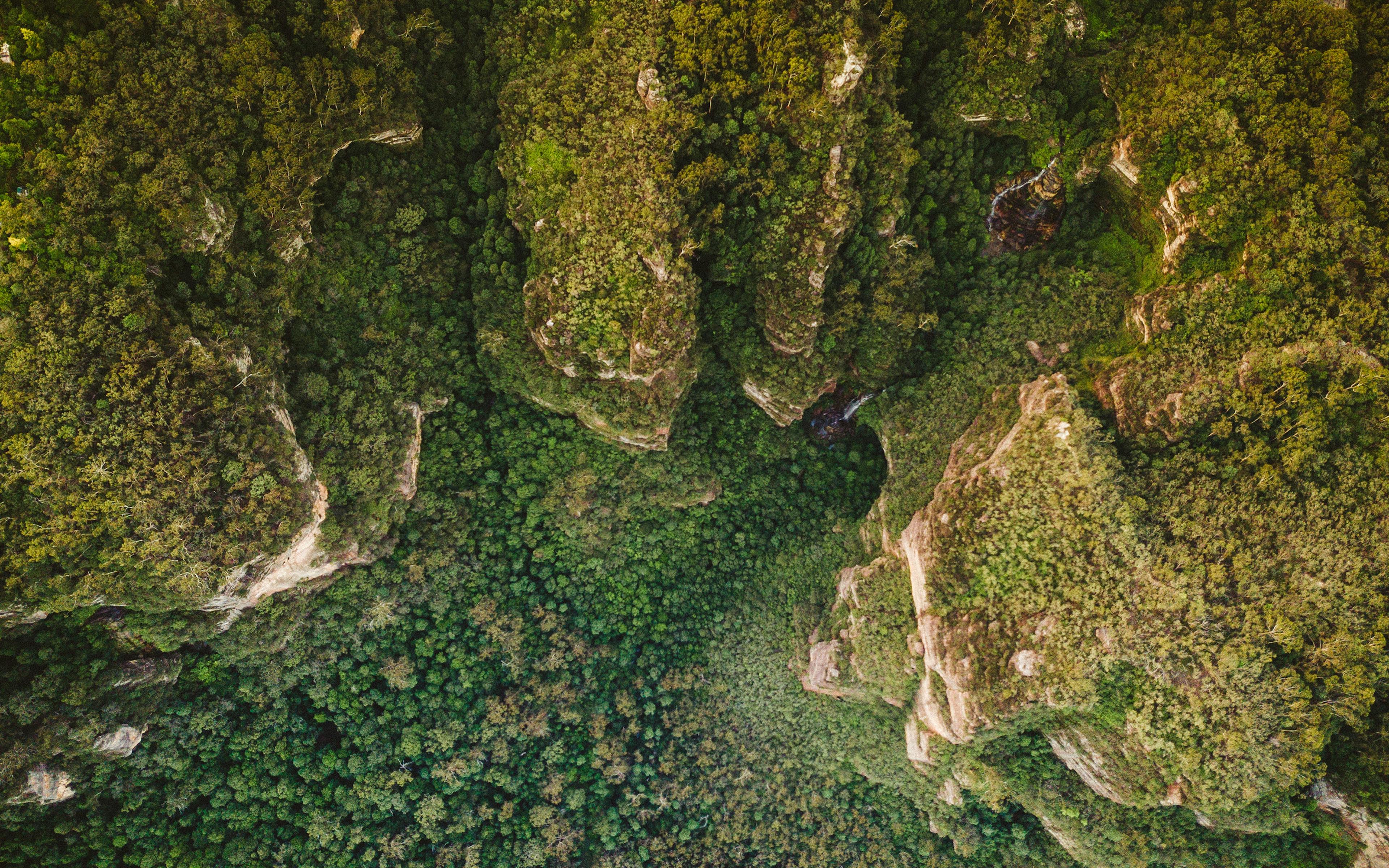 Aerial view of green mountains.