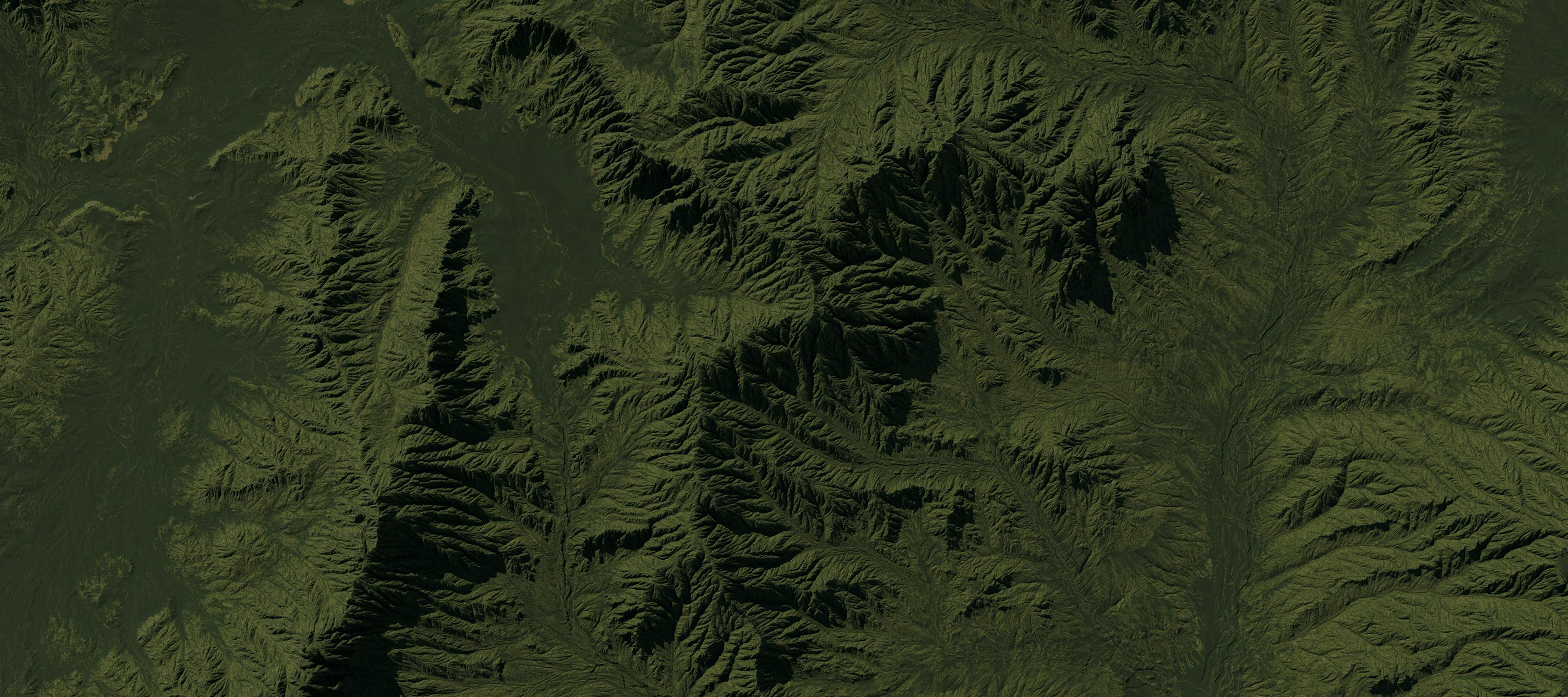 Aerial view of green mountains.