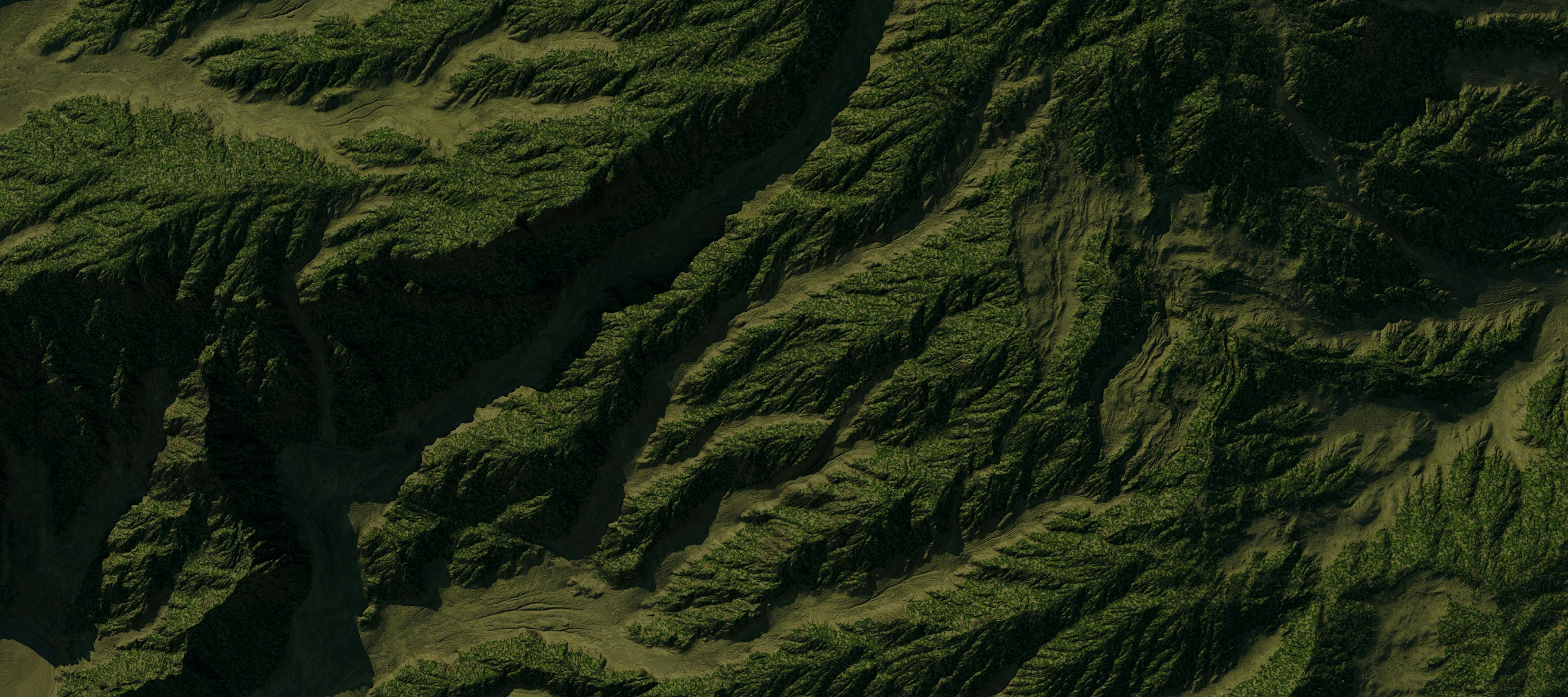 Aerial view of green mountains.