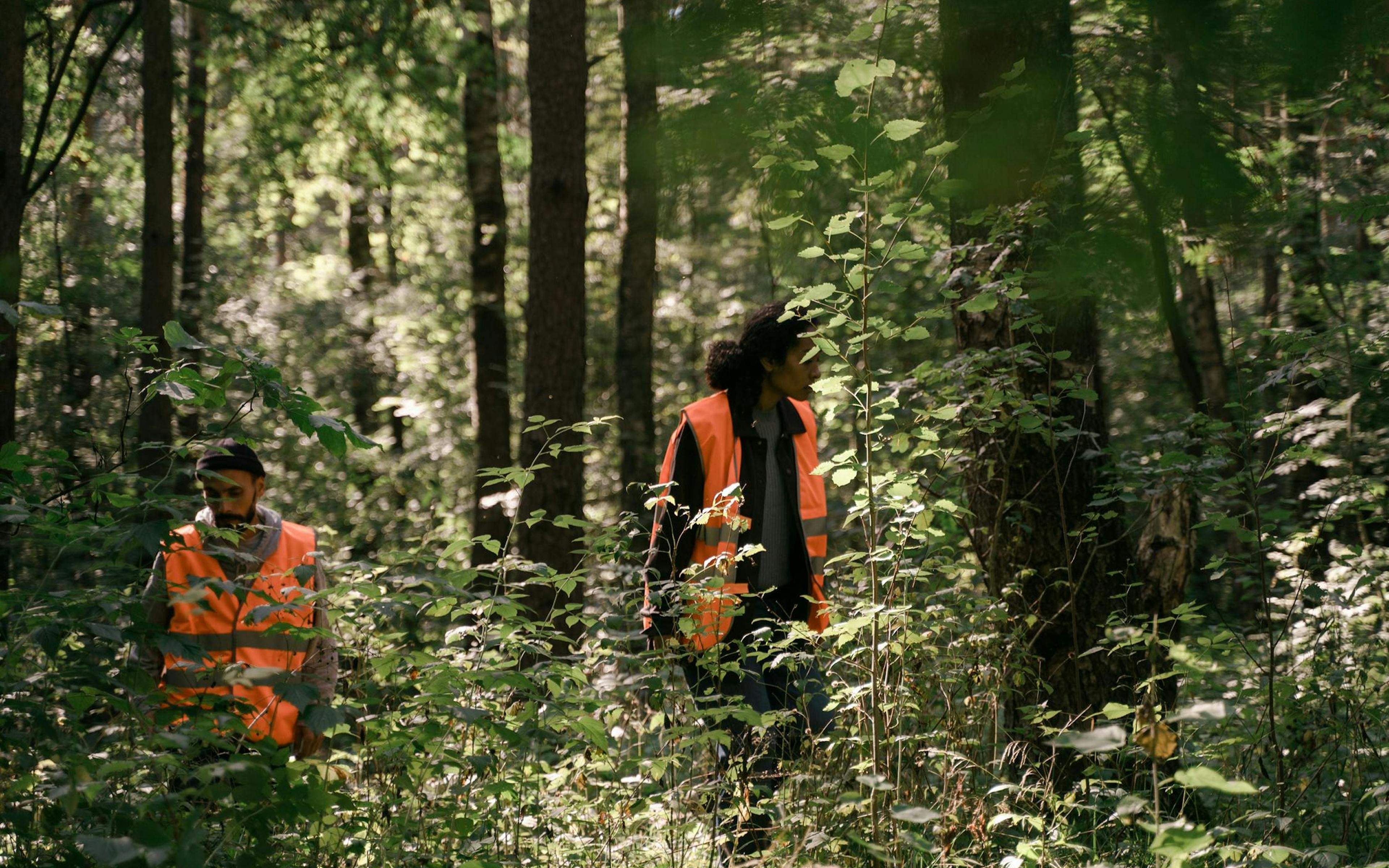 People in forest.