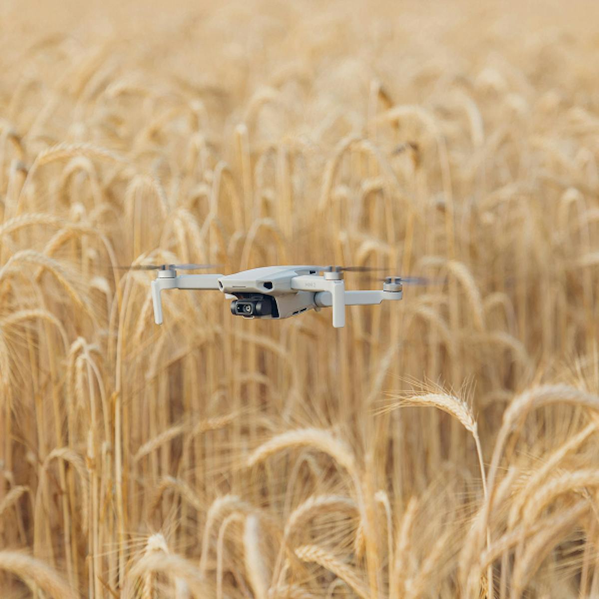 Drone flying over crops.