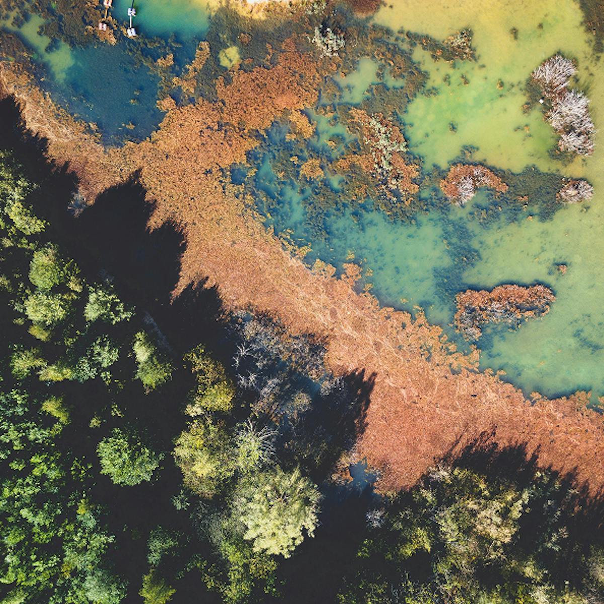 Aerial view of colourful landscape.