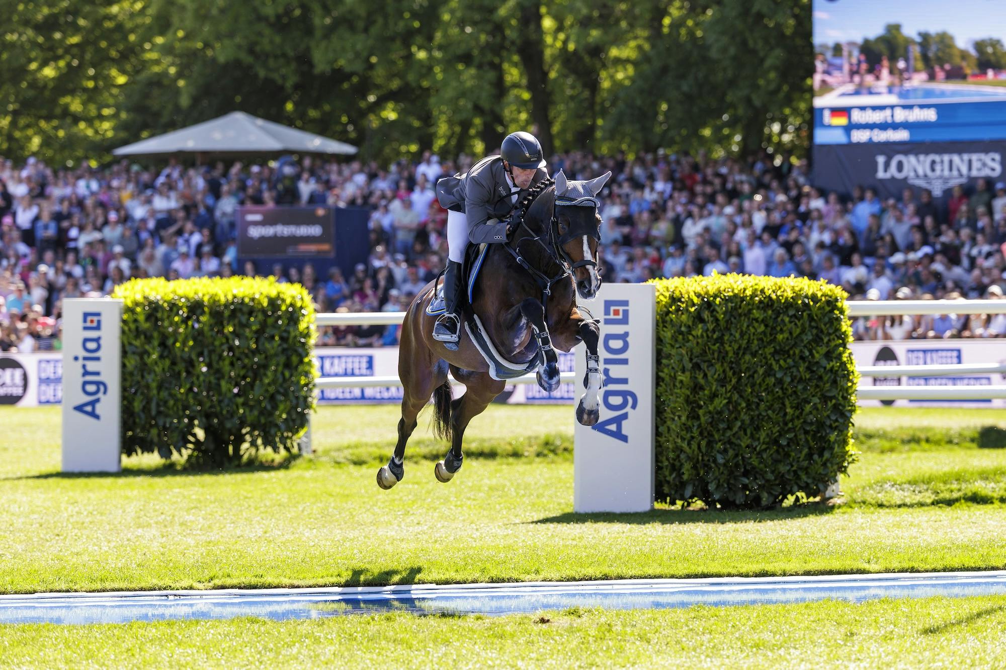 Deutsches Spring und Dressur Derby Die offizielle Seite