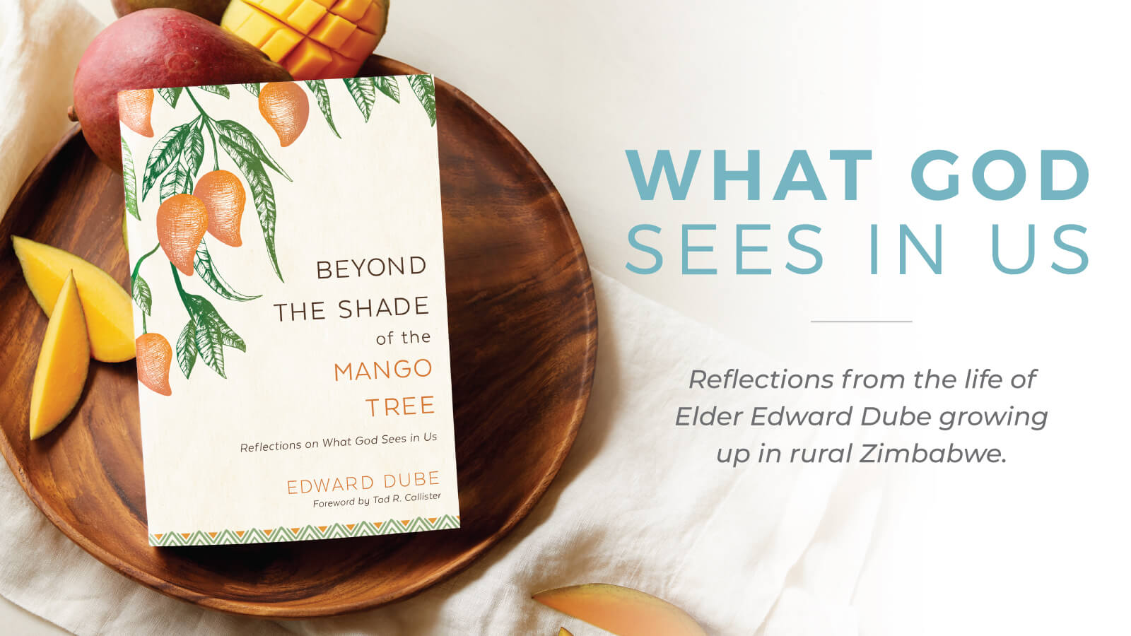 Best Selling LDS Books Deseret Book