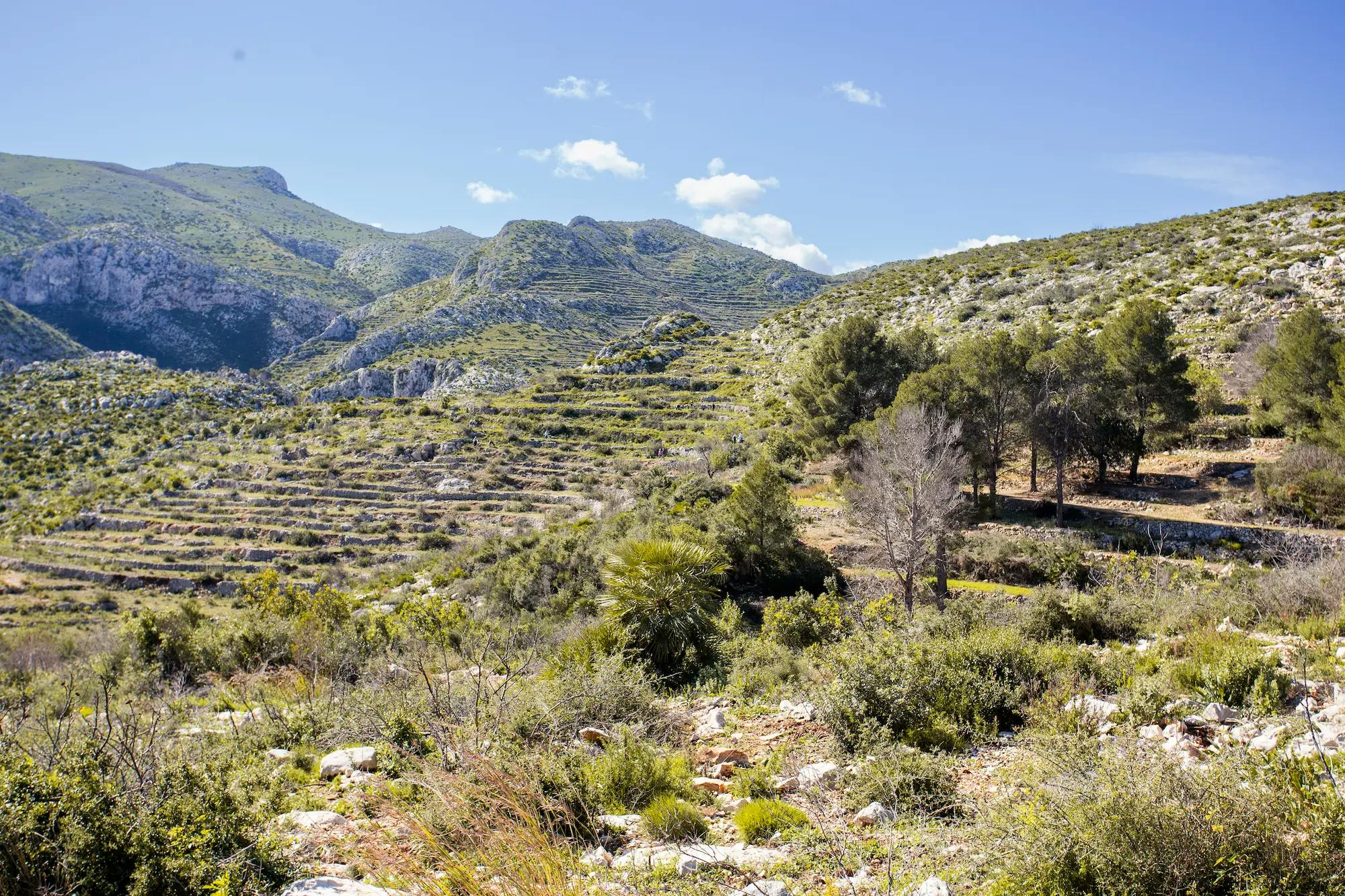 Marina alta landscape