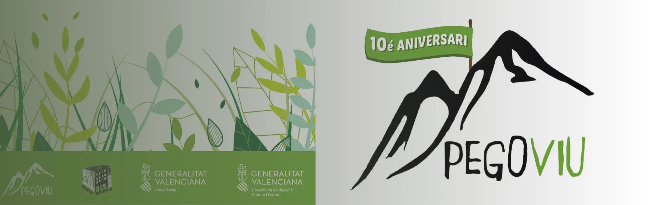 Pego Viu anniversary banner