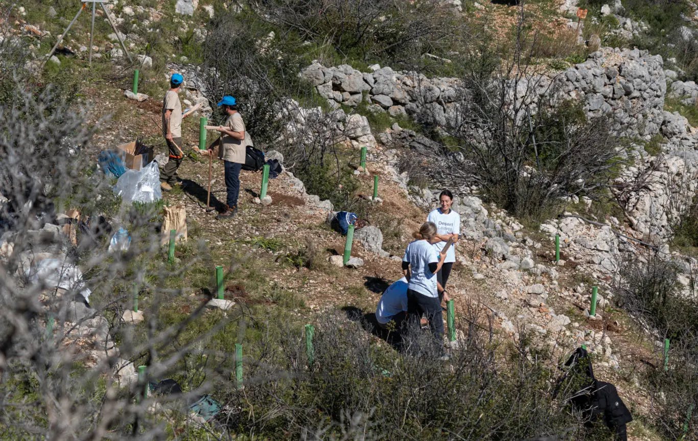 Planting day with RH Hotels