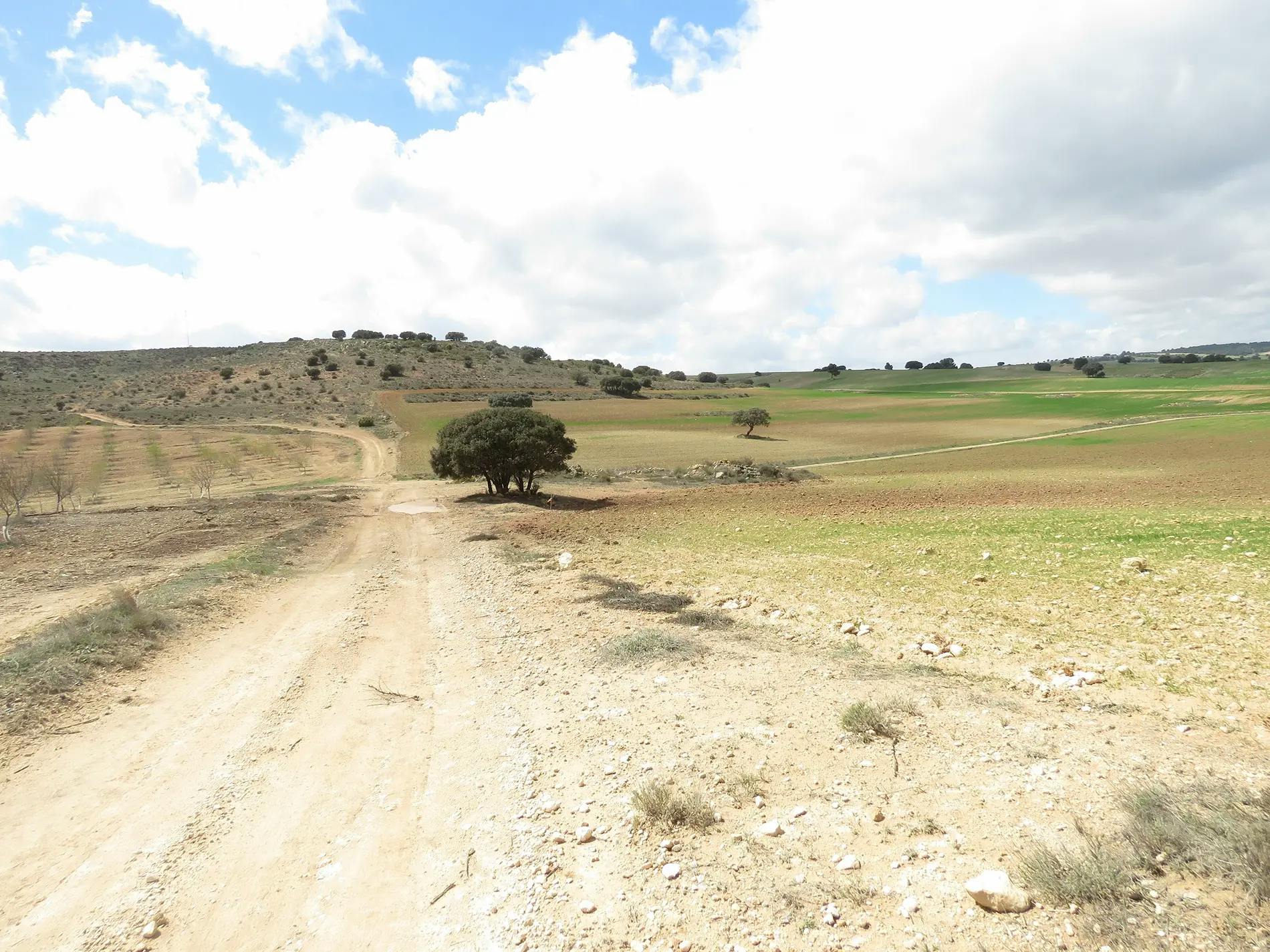 Altiplano landscape