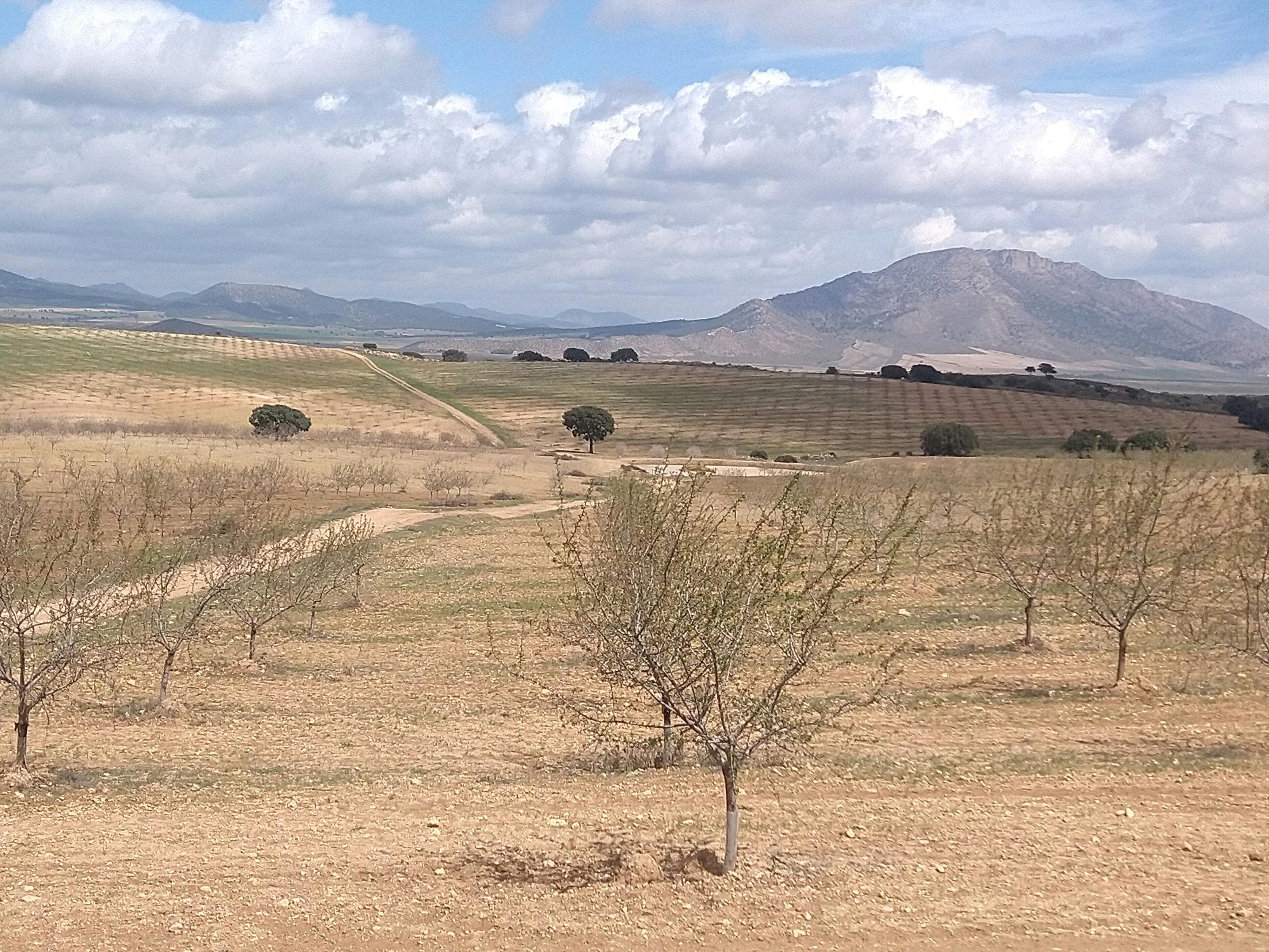 Altiplano landscape