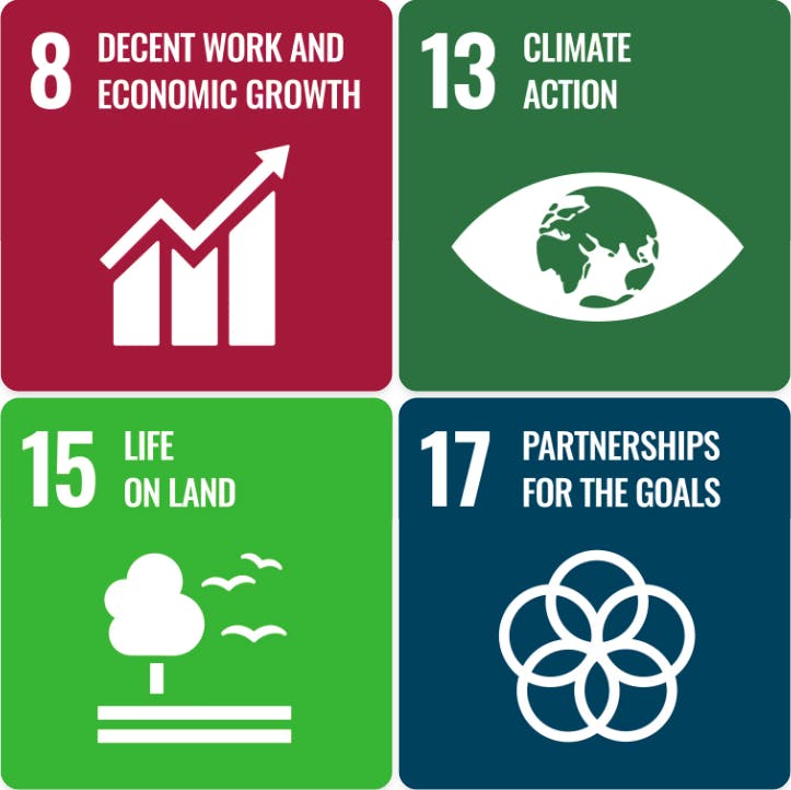 SDGs 8 to 17