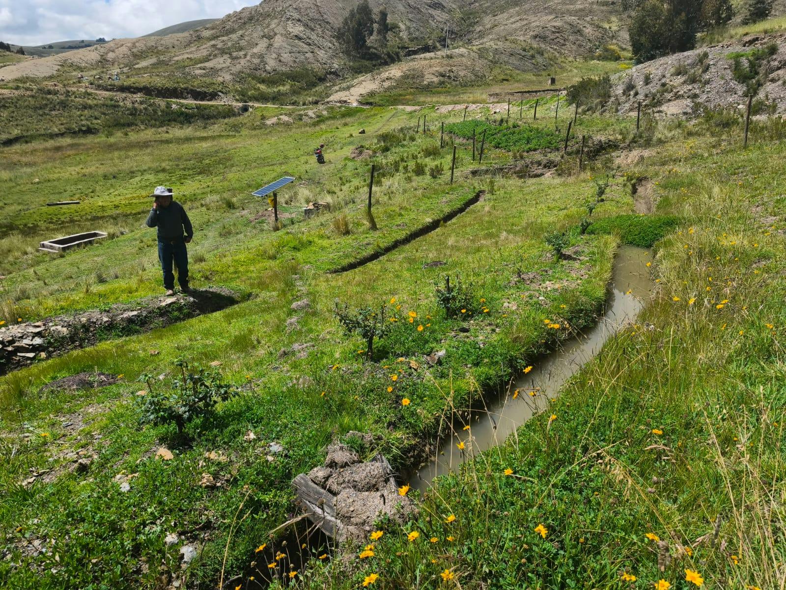 infiltration ditch with trees planted alongside Peru Puno