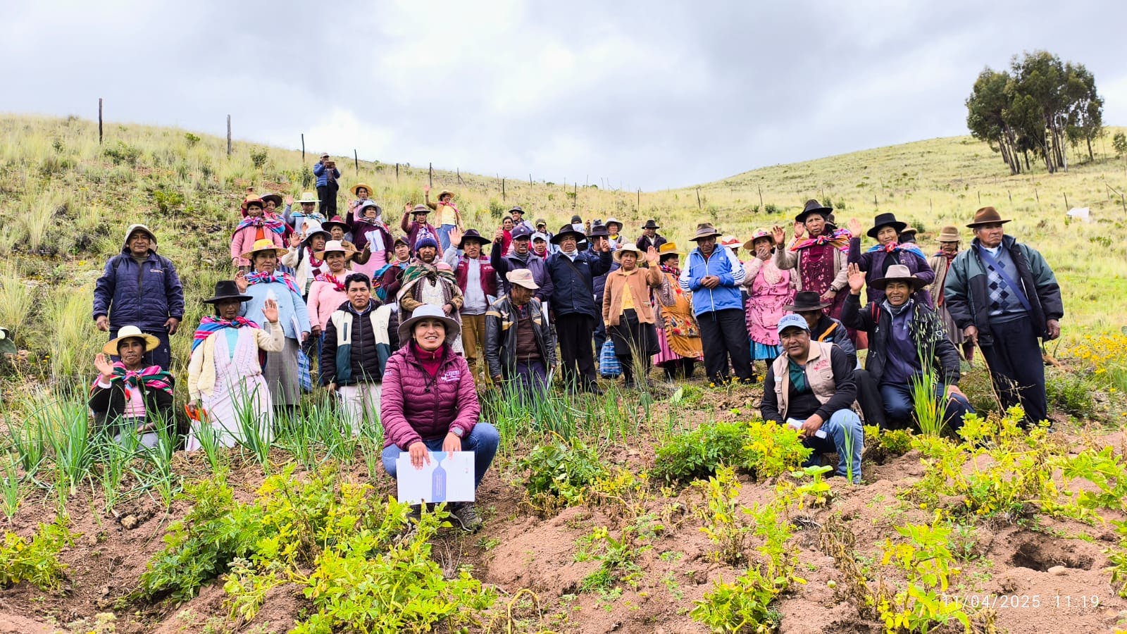 ecological garden below infiltration ditch with trees planted along it Peru Puno