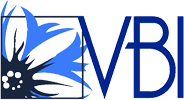 Logo VBI