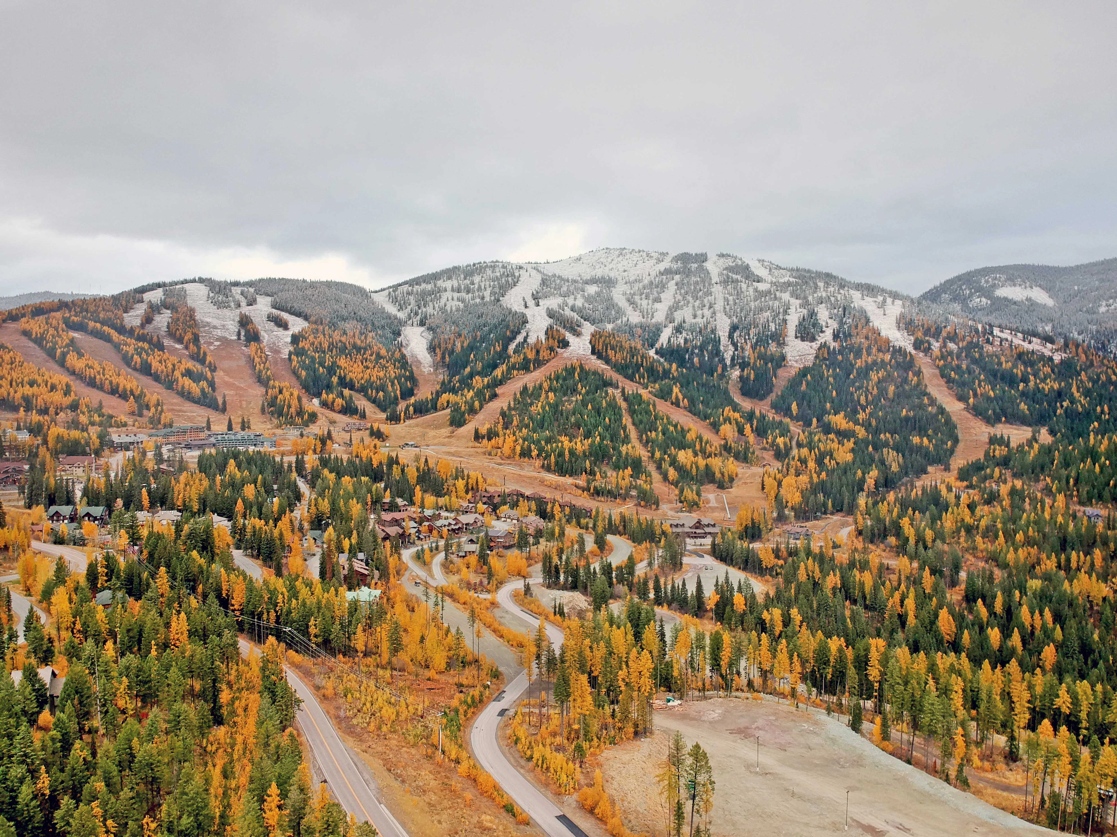Everyone’s Talking About Whitefish | Design District