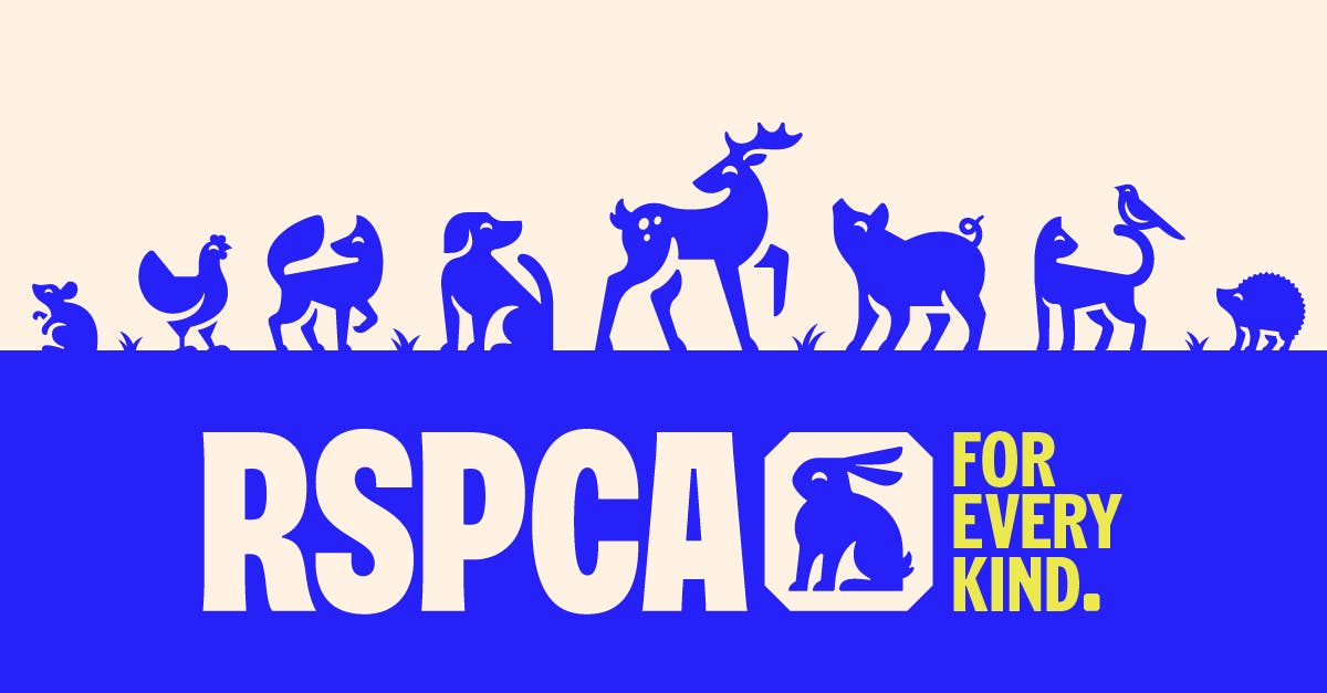 RSPCA graphical banner