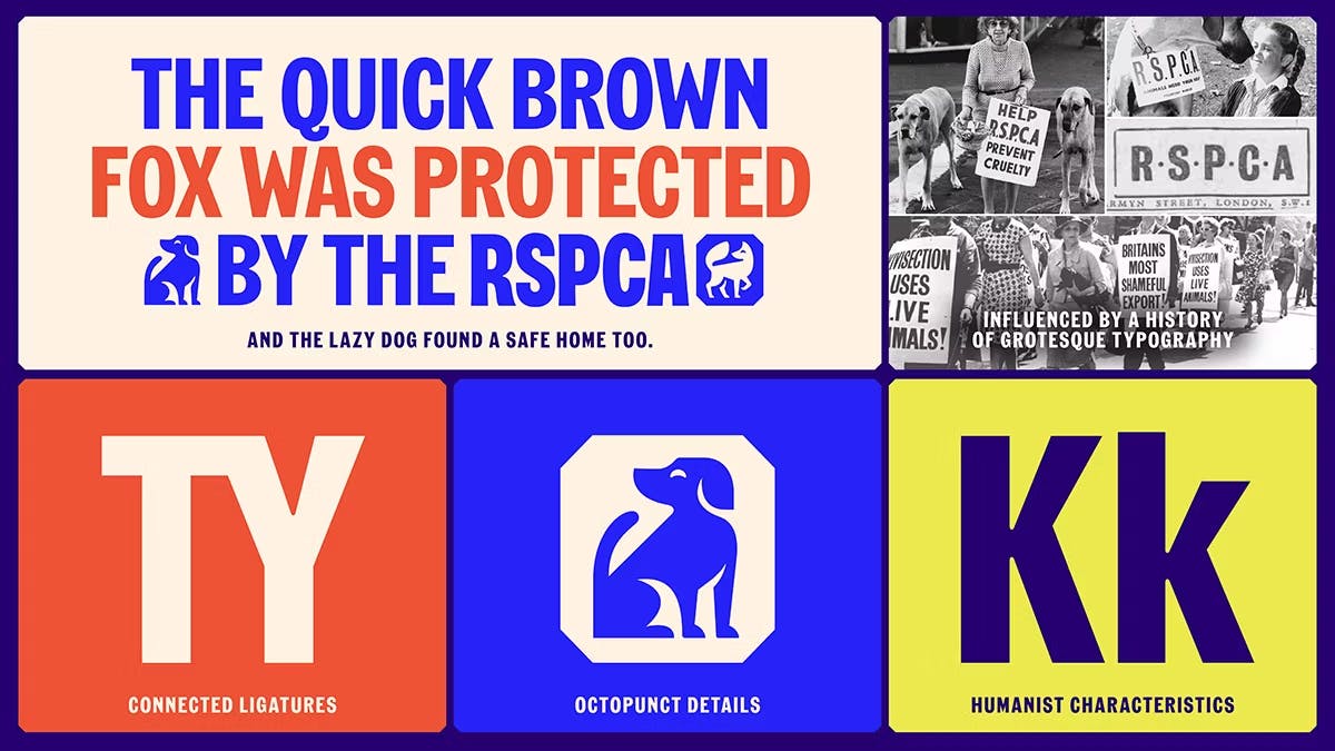 RSPCA graphical banner