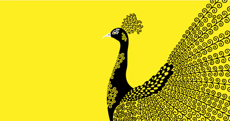 Premium by design: Six visual principles that elevate a brand | Designmc