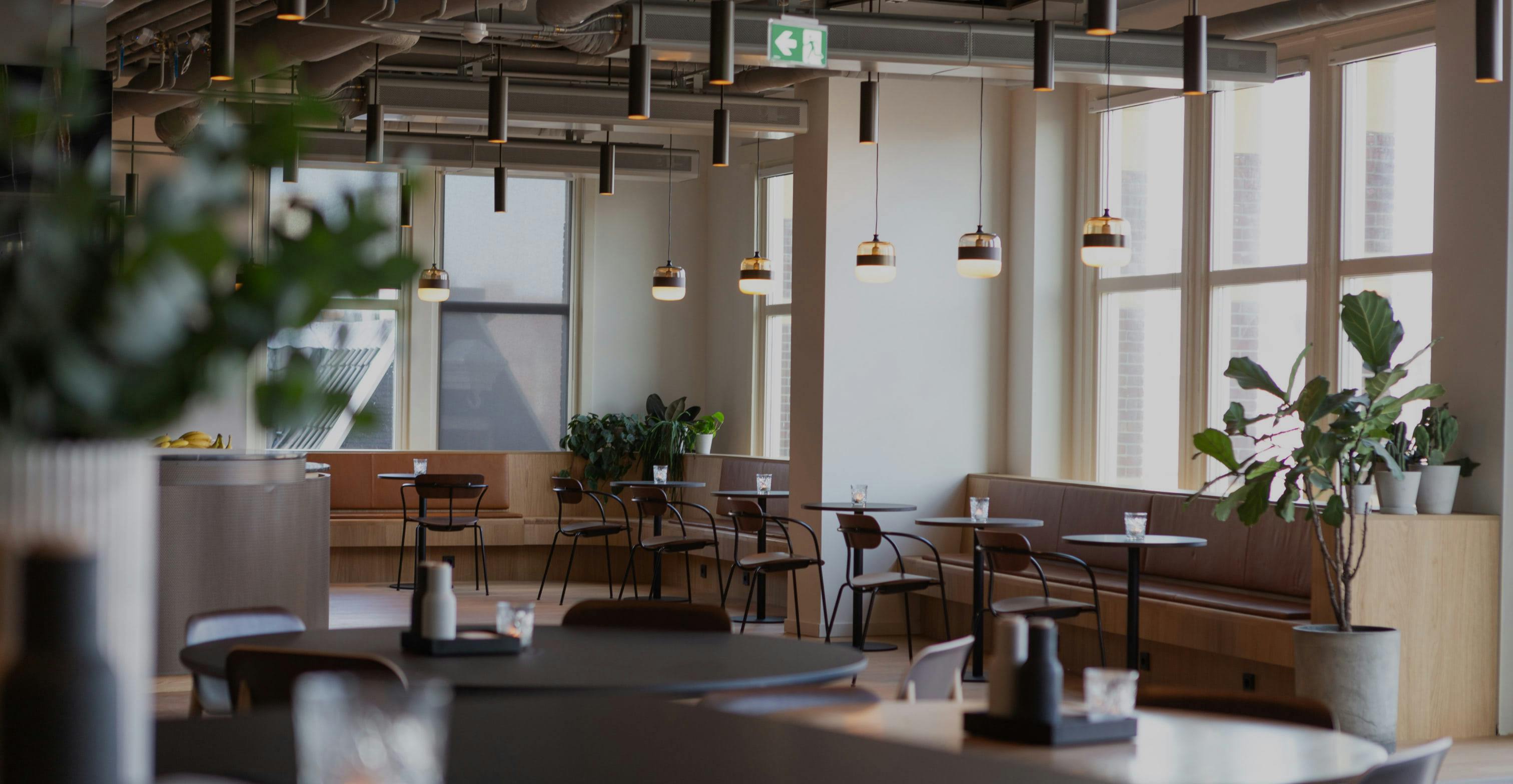 Décoration bureaux plantes et bois