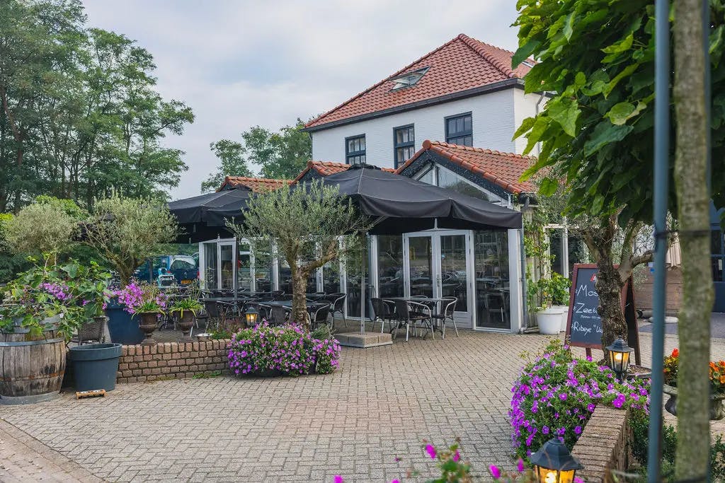 Het terras in de zomer