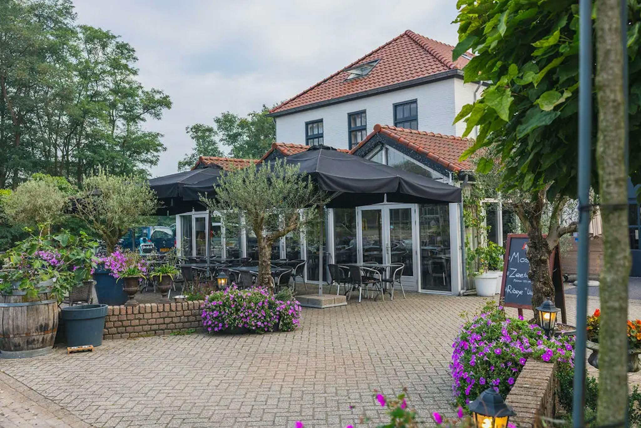 Het terras in de zomer