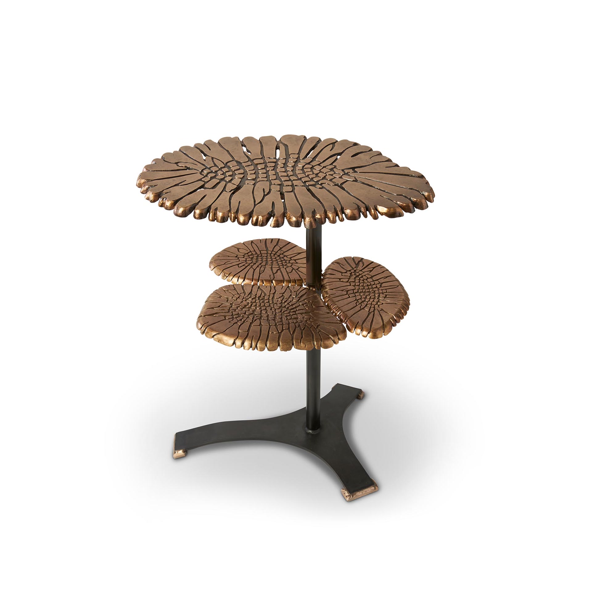 de sousa hughes tuell reynolds foliose table