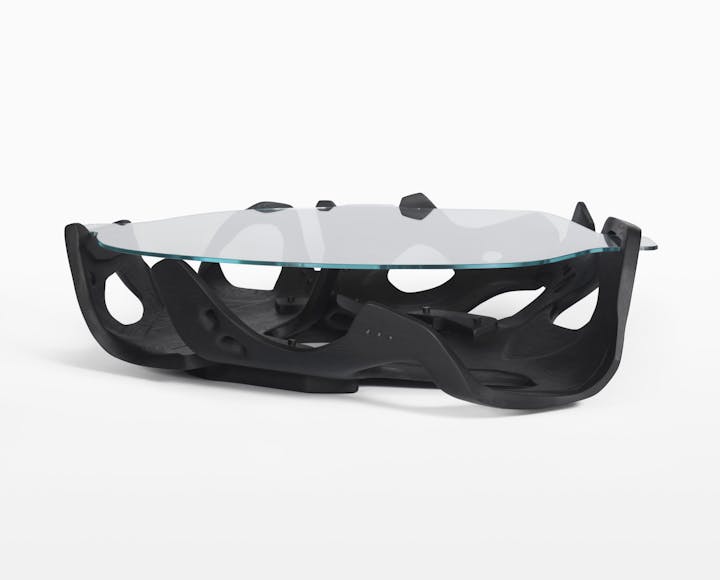 de sousa hughes caste Shield Table