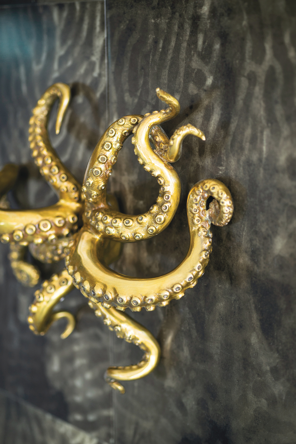 de sousa hughes alexander lamont ocean armoire deep coral parchment detail