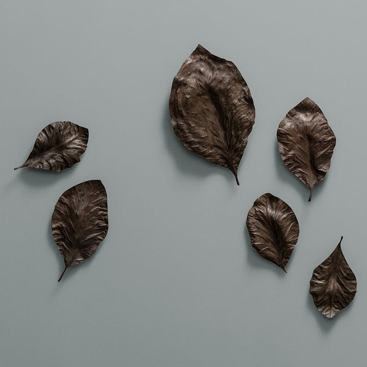 de sousa hughes alexander lamont fronds