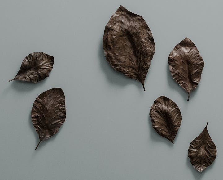 de sousa hughes alexander lamont fronds