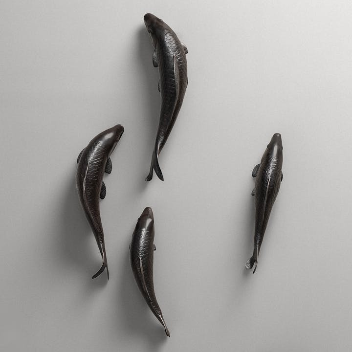 de sousa hughes alexander lamont koi carp