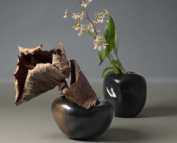 de sousa hughes alexander lamont anemone vases