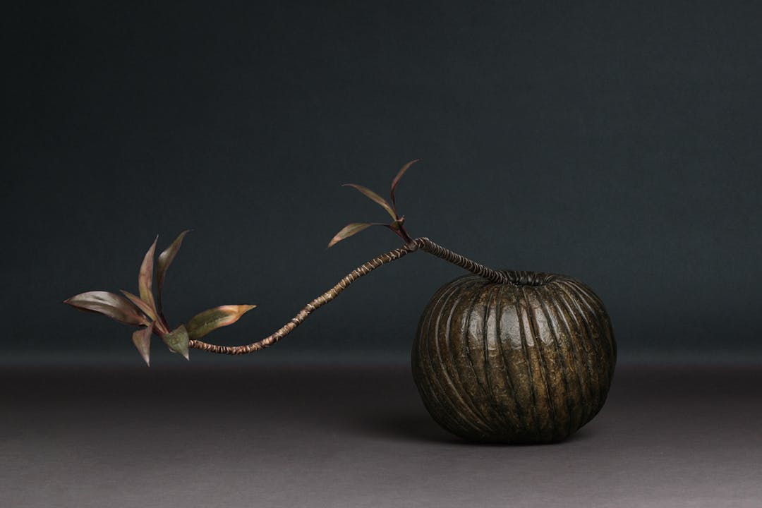 de sousa hughes alexander lamont cockle vase large