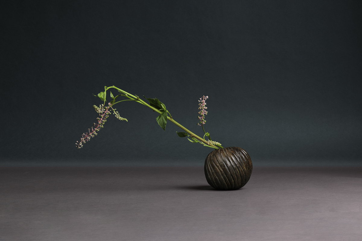 de sousa hughes alexander lamont cockle vase small