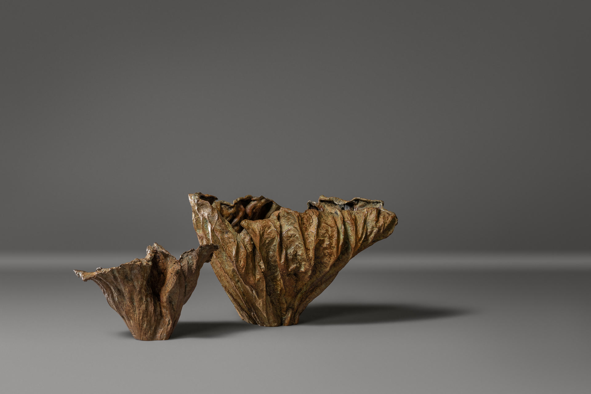 de sousa hughes alexander lamont lost leaf vessels